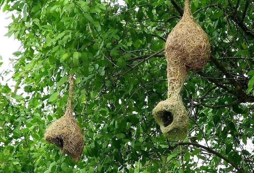一居室高级别墅, Nisala Villa Midigama