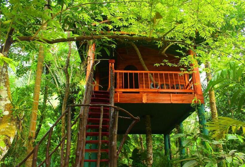 一居室高级别墅, Nisala Villa Midigama