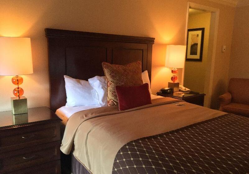 デラックスルーム, Alia Home