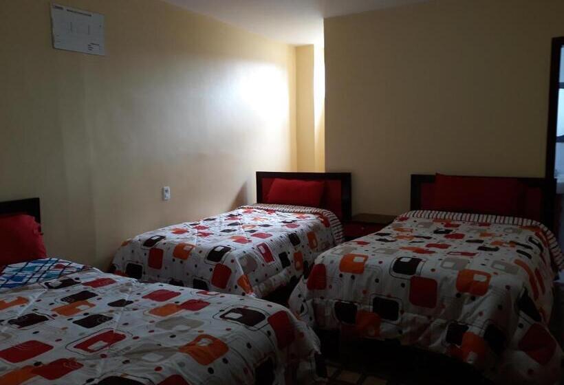 غرفة قياسية ثلاثية, Navarra