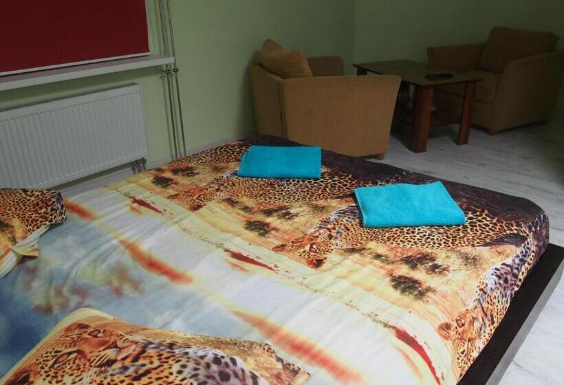 اتاق استاندارد یک نفره, Hostelis Laurita