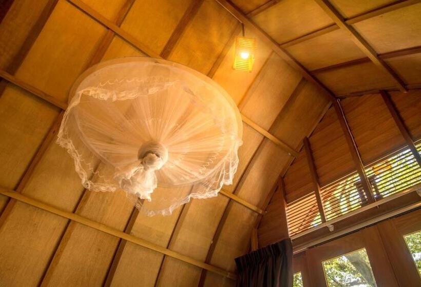 غرفة قياسية, Bamboo Bungalow