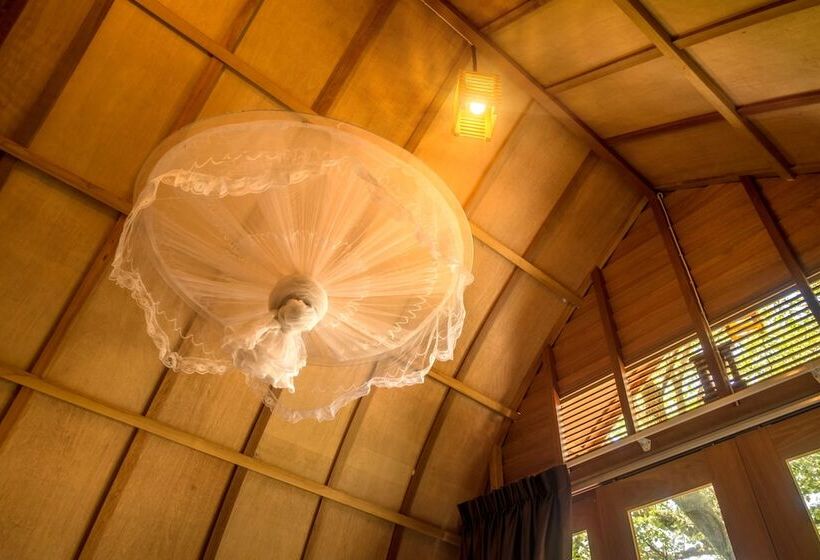 غرفة قياسية, Bamboo Bungalow