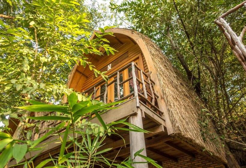 غرفة قياسية, Bamboo Bungalow