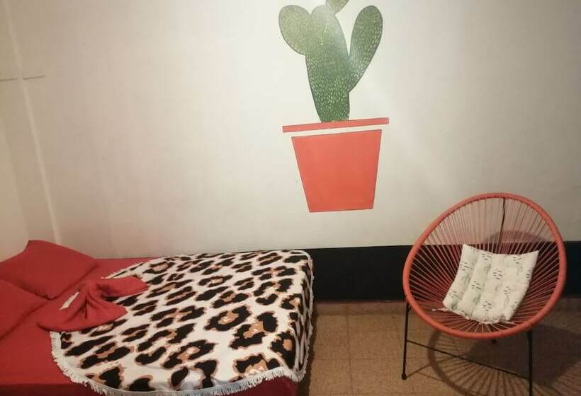 חדר סטנדרט, Zebulo Hostel