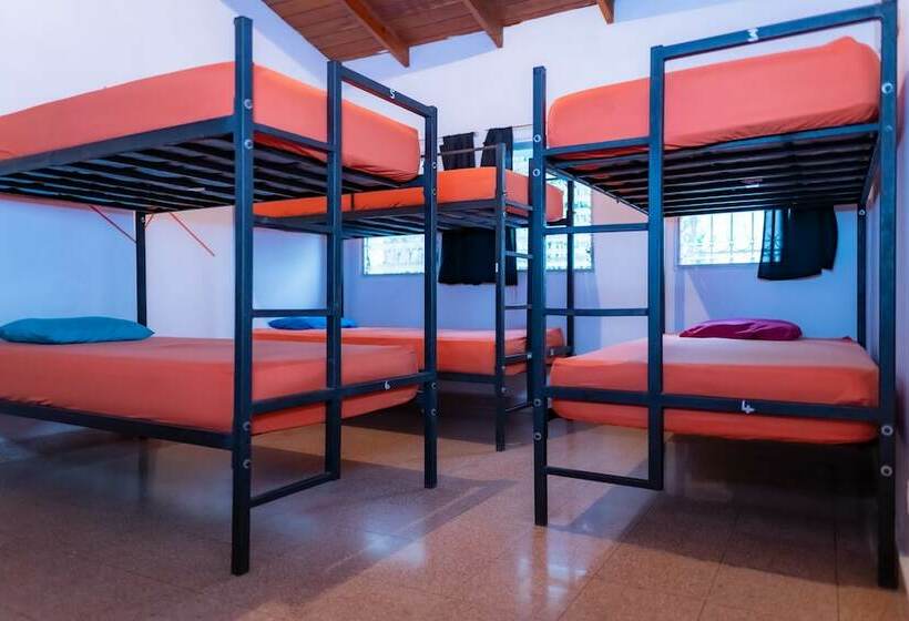 מיטה בחדר משותף, Zebulo Hostel