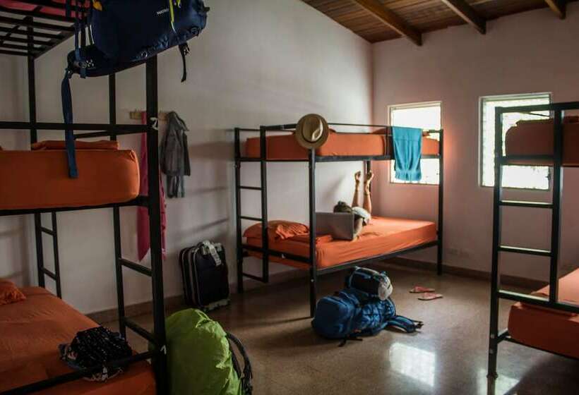 מיטה בחדר משותף, Zebulo Hostel