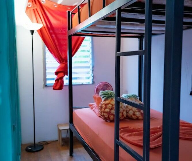 חדר אקונומי יחיד, Zebulo Hostel