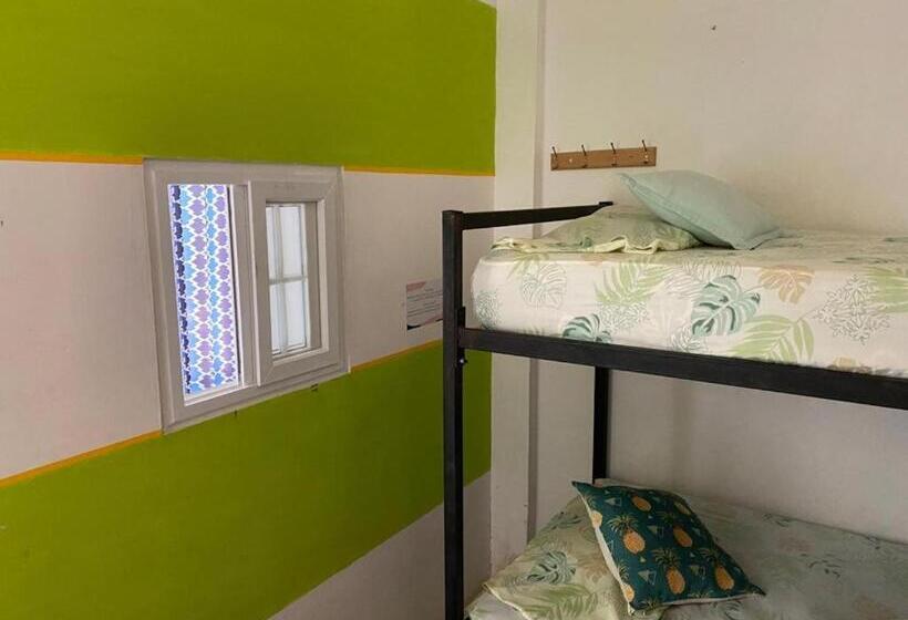 חדר בסיסי לשלושה, Zebulo Hostel