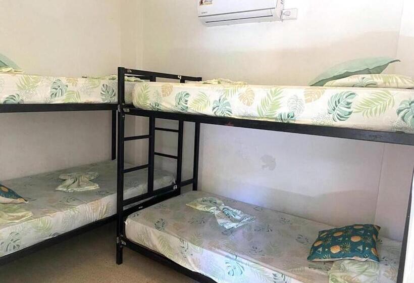 חדר בסיסי לשלושה, Zebulo Hostel