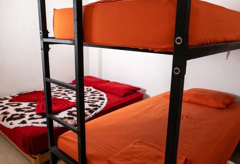 Номер Стандарт, Zebulo Hostel