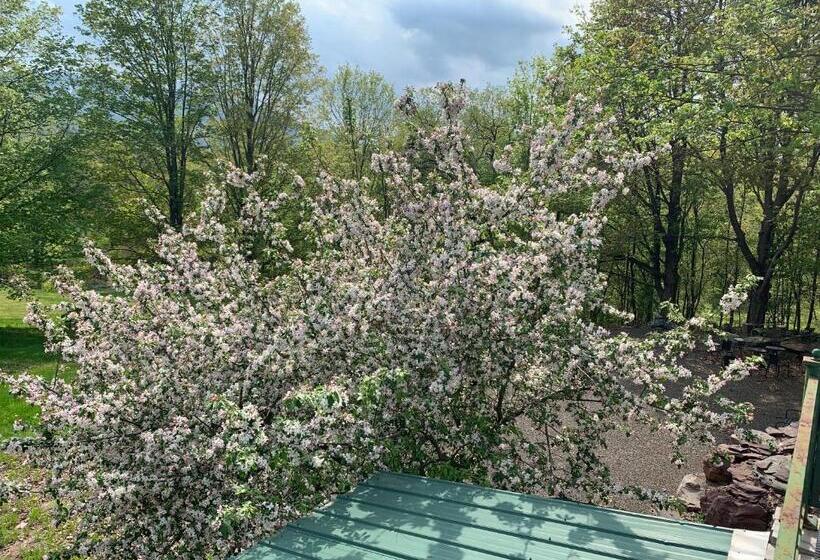 スタンダードルーム, Georgian Garden