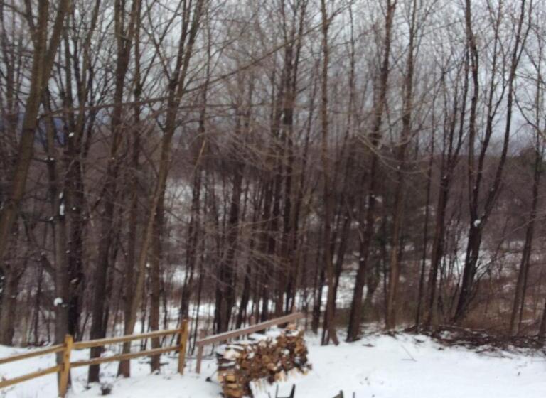 חדר סטנדרט נוף לגינה, Georgian Garden