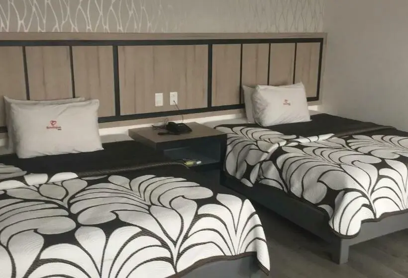 Standard-huone, Boutique Toluca