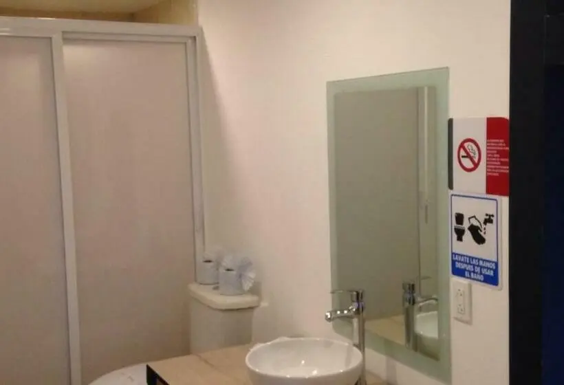 Standard-huone, Boutique Toluca