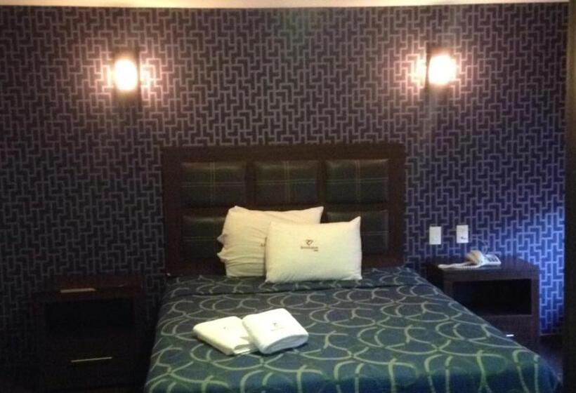Standart Oda, Boutique Toluca