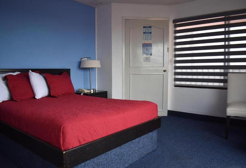 スタンダードルーム, Mediterraneo