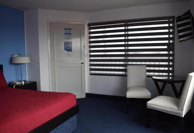 スタンダードルーム, Mediterraneo