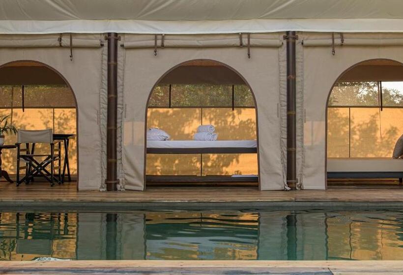 سوییت با چشمانداز استخر, The Beige