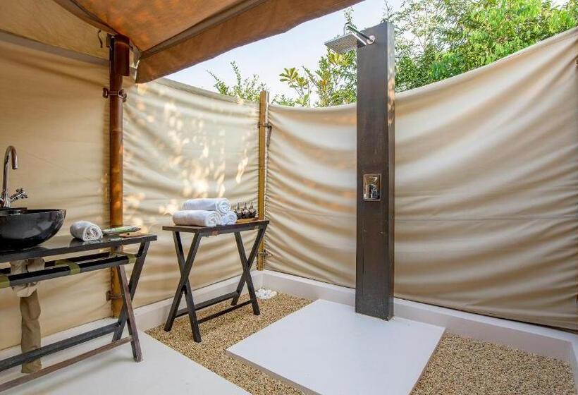 سوییت با چشمانداز استخر, The Beige