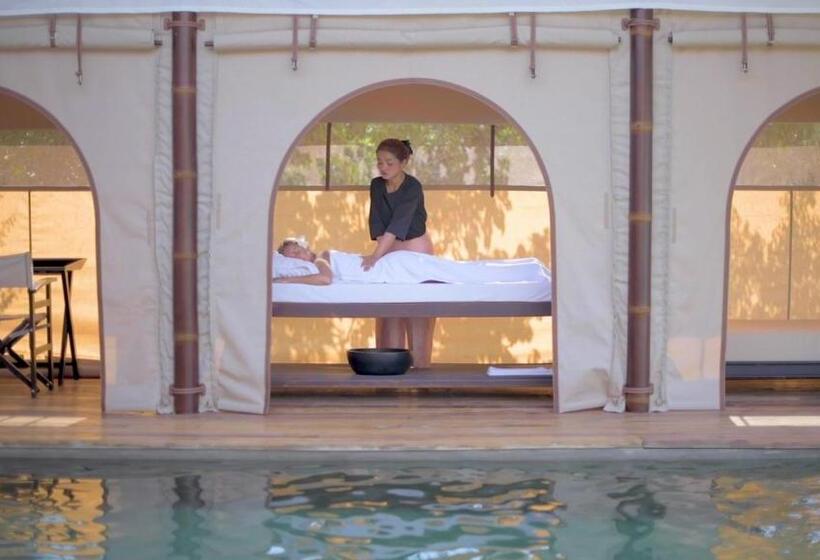 سوییت با چشمانداز استخر, The Beige