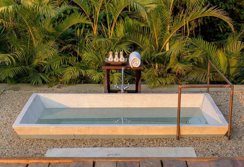 سوییت با چشمانداز استخر, The Beige