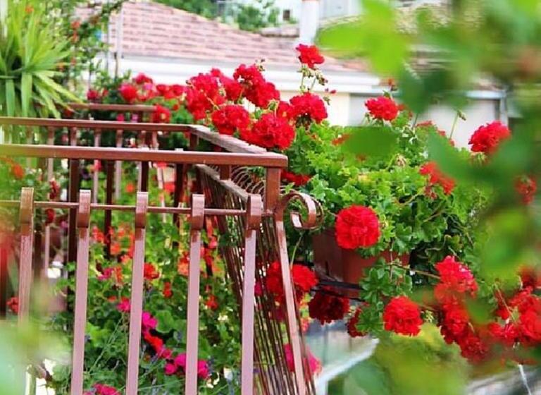 Номер Стандарт Индивидуальный, B&b Da Peppe