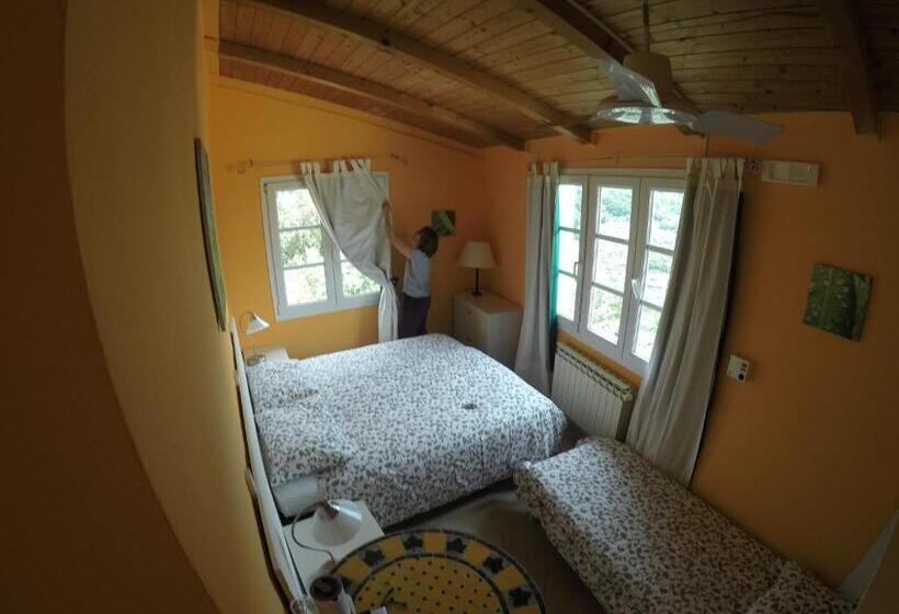 オーシャンビュースタンダードルーム, Ai Cinque Campanili