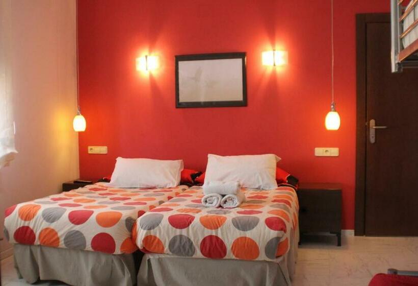 スタンダードルーム, Allucant   Gallocanta