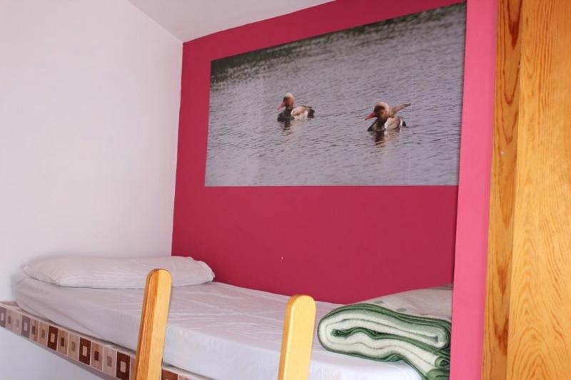 ルームシェアのワンベッド, Allucant   Gallocanta