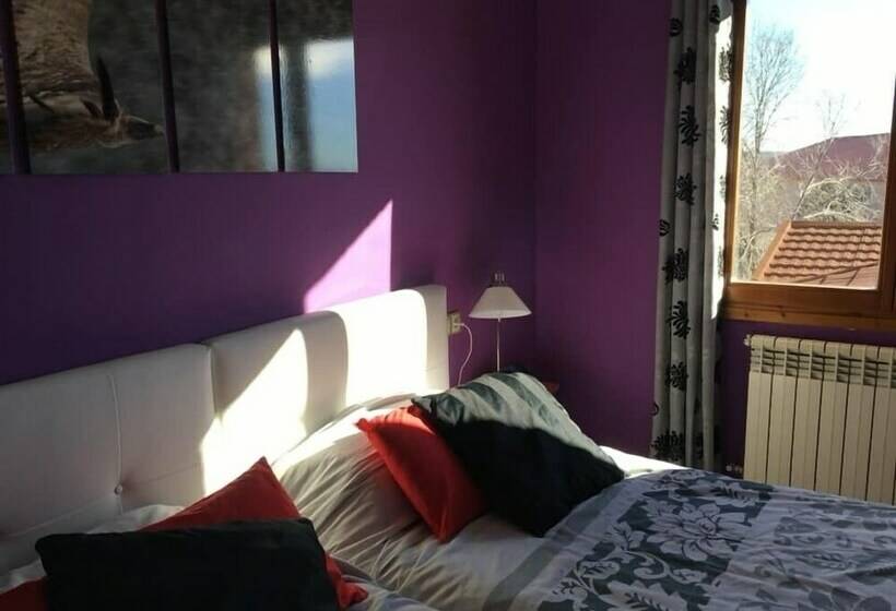 スタンダードルーム, Allucant   Gallocanta