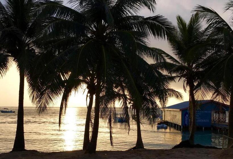 جناح مطلّ علي البحر, The Palapa House