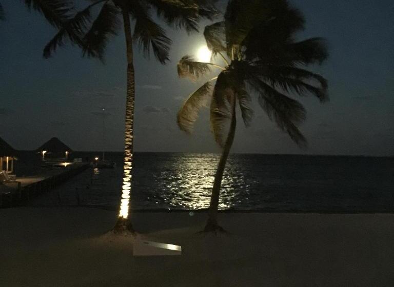 شقة دور أخير غرفة نوم واحدة, The Palapa House