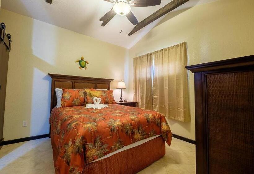 شقة دور أخير غرفة نوم واحدة, The Palapa House