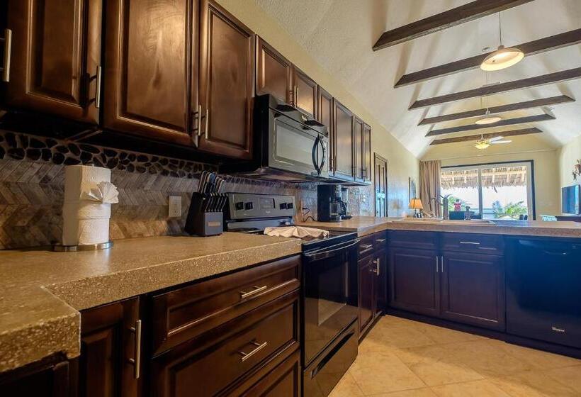 شقة دور أخير غرفة نوم واحدة, The Palapa House