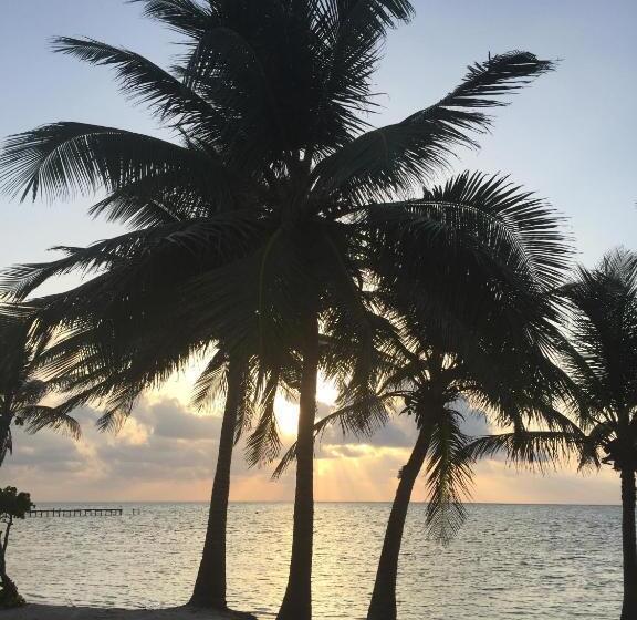 غرفة قياسية مطلّة علي البحر, The Palapa House