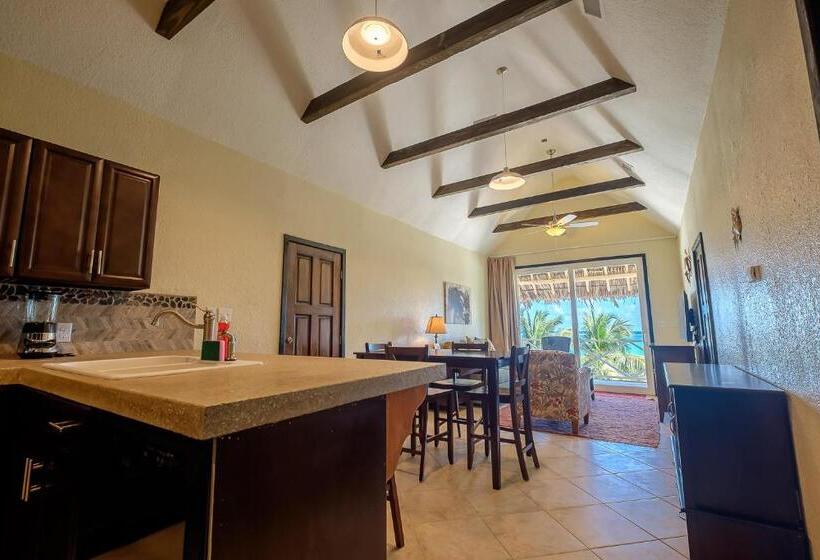 شقة دور أخير غرفة نوم واحدة, The Palapa House