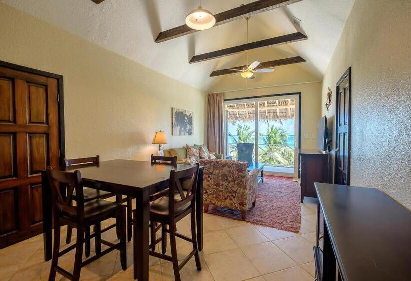 شقة دور أخير غرفة نوم واحدة, The Palapa House