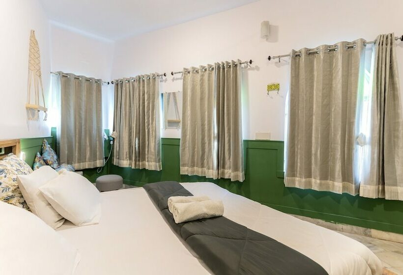 Deluxe Kamer, Moustache Udaipur