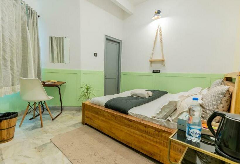 Economy Kamer, Moustache Udaipur