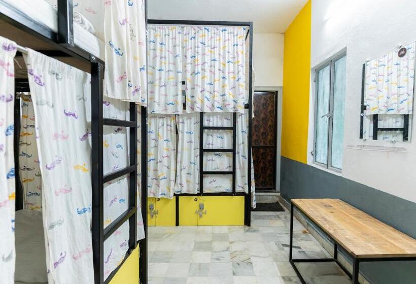 Bed in een Gedeelde Kamer, Moustache Udaipur