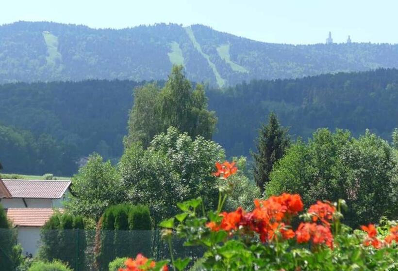 Номер Стандарт Индивидуальный, Ferienhotel Münch