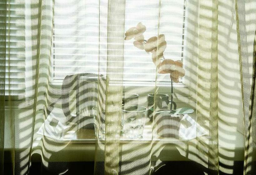 Cameră Superioară, Breeze