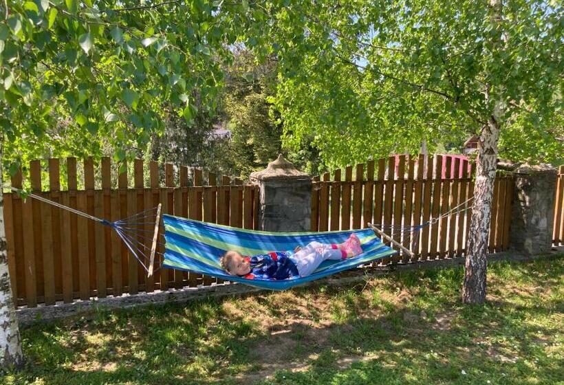 اتاق استاندارد با چشم‌انداز کوهستان, Karpatskyi Maetok