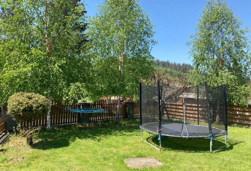 اتاق استاندارد با چشم‌انداز کوهستان, Karpatskyi Maetok