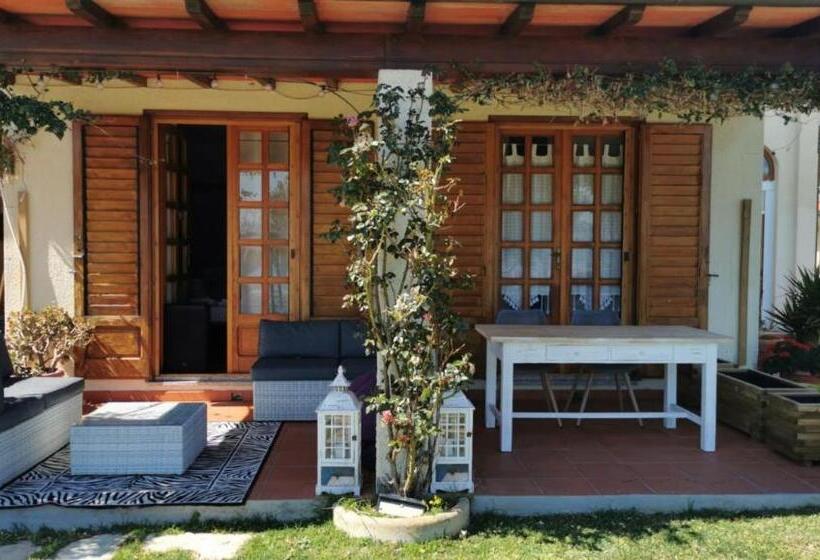 Люкс Кровать Кинг, Aethalia Bed And Breakfast