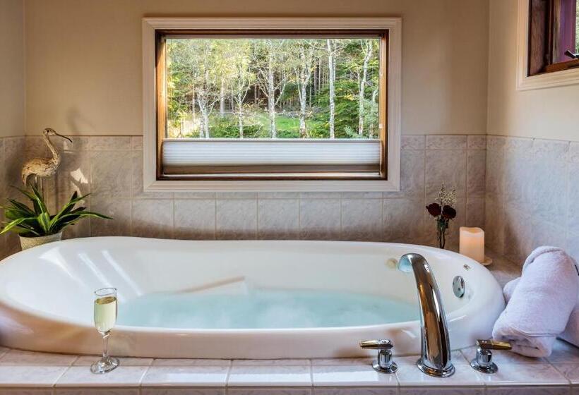 جناح ديلوكس مطل على البحر, Arch Cape Inn And Retreat