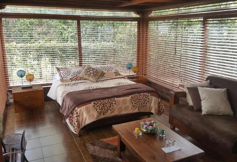 デラックスルーム, Casa Hotel San Pedro