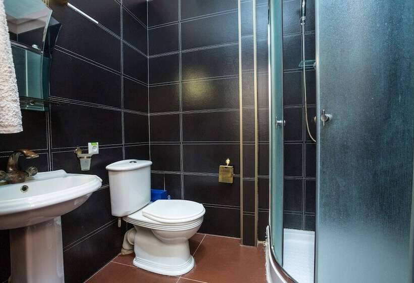 اتاق استاندارد, Avicenna