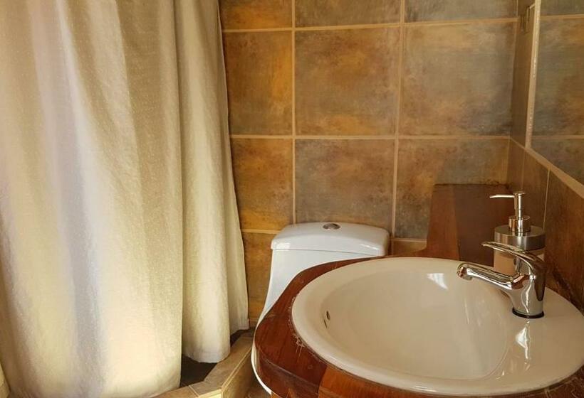 标准三人间, La Cochera